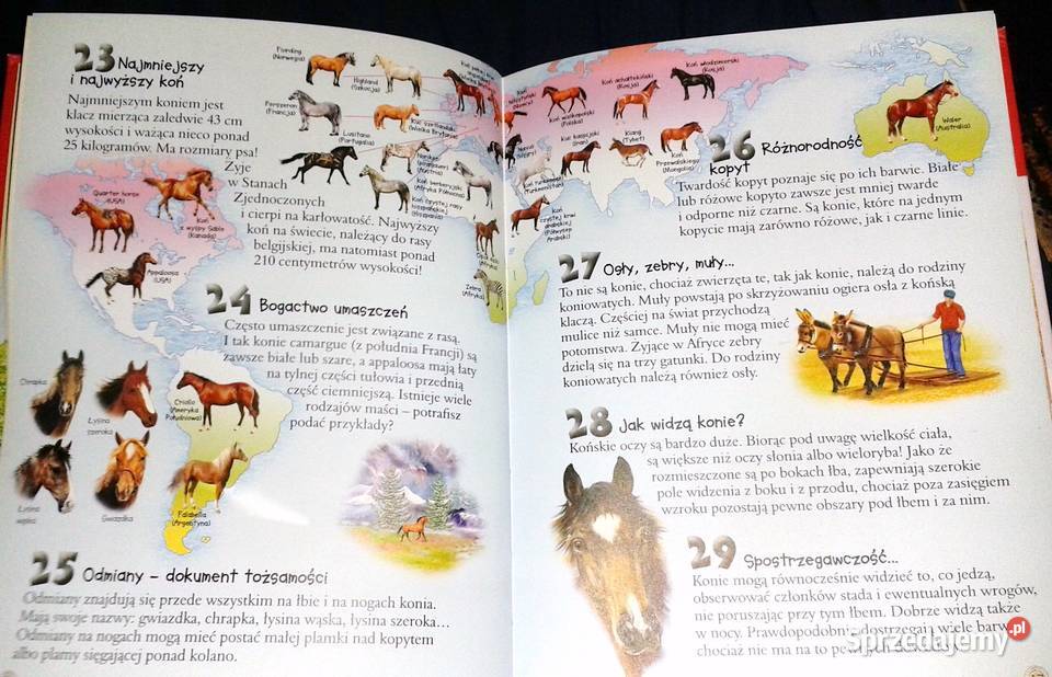 101 ciekawostek Konie Anais Puygrenier Rok wydania 2015 Pozostałe lubelskie Chełm