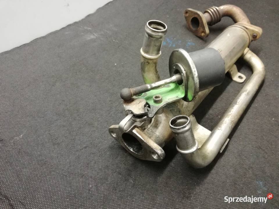 Volkswagen 20 TDI chłodnica spalin Swarzędz