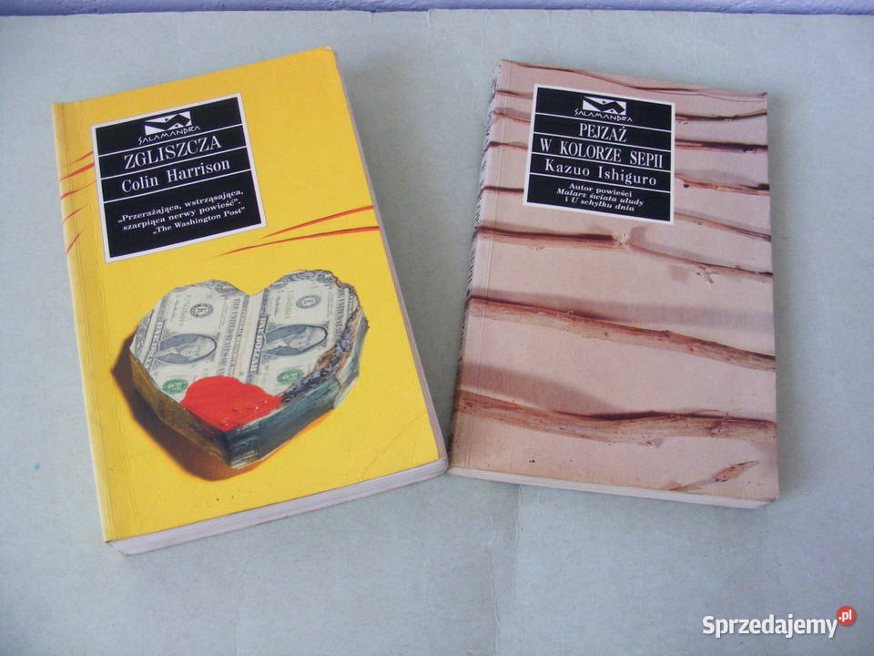 Zgliszcza Harrison Pejzaż w kolorze sepii Oborniki Śląskie sprzedam