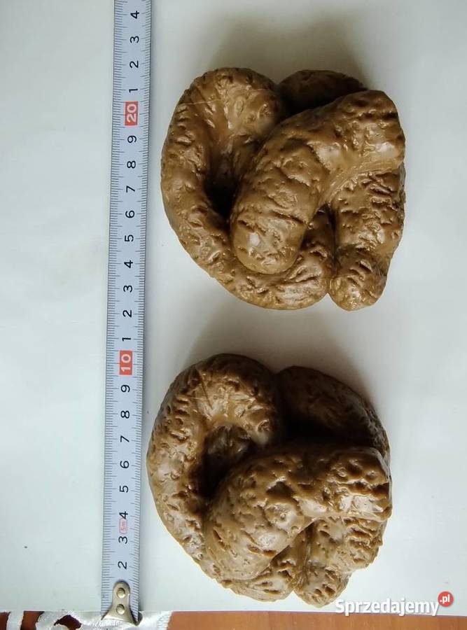 Gadżet sztuczna kupa śląskie