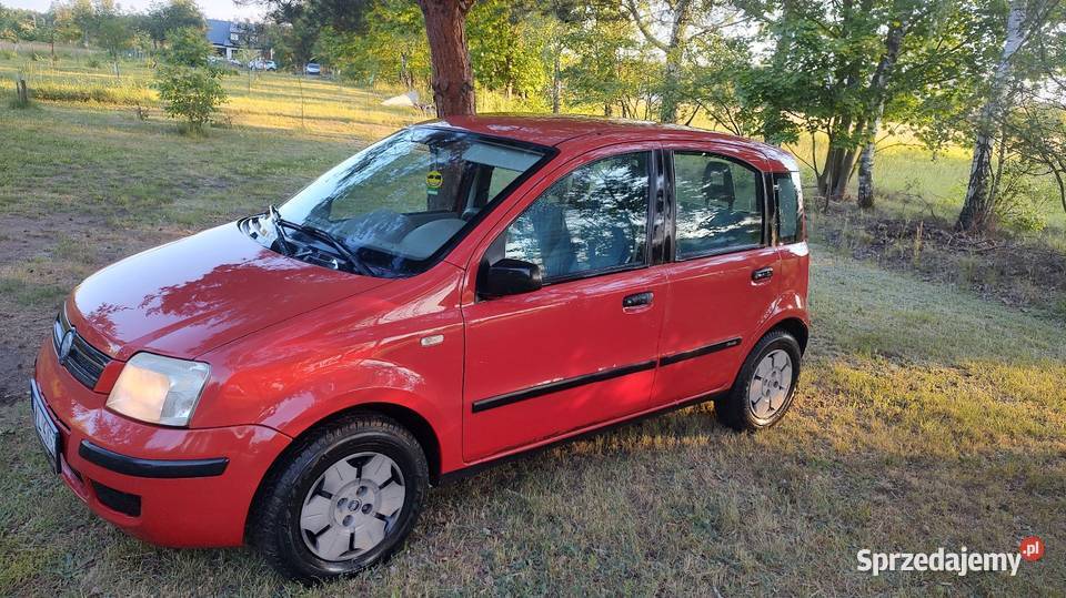 Panda fiat 12 Nisko