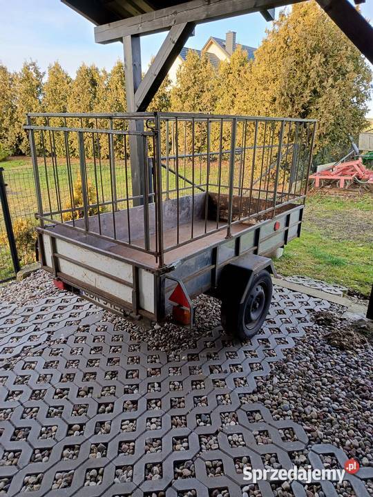 Przyczepka samochodowa Spier Cielęta sprzedam