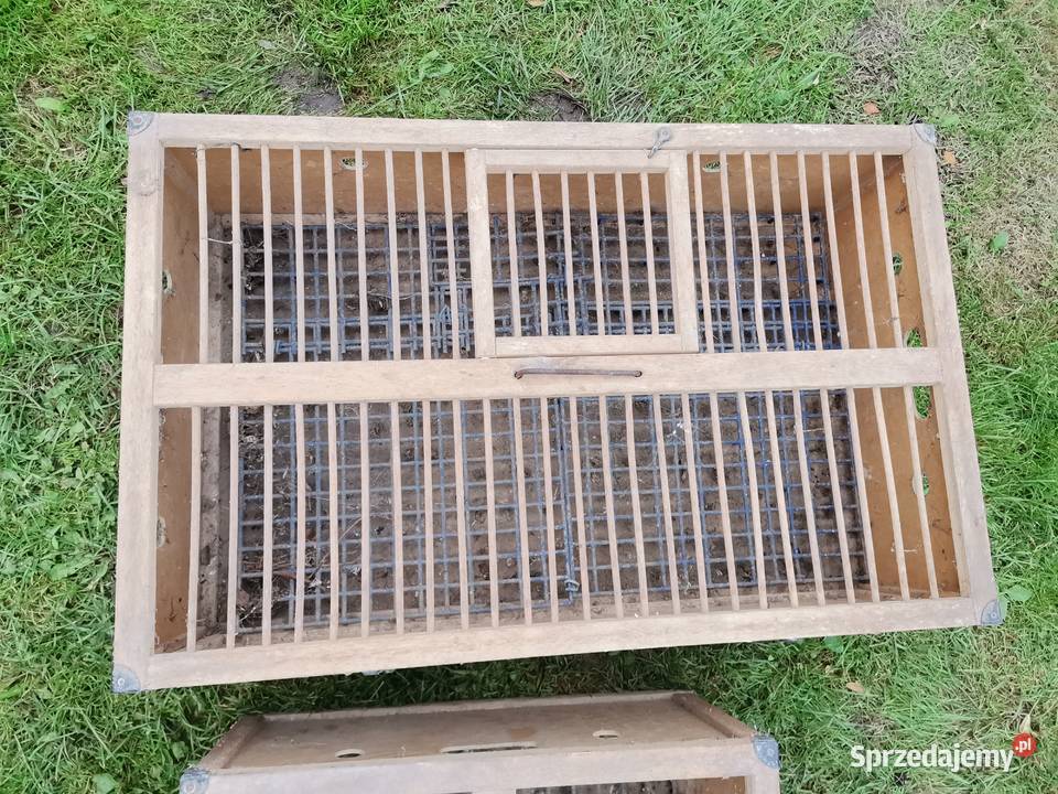 Klatki transportowe gołębi Dubidze