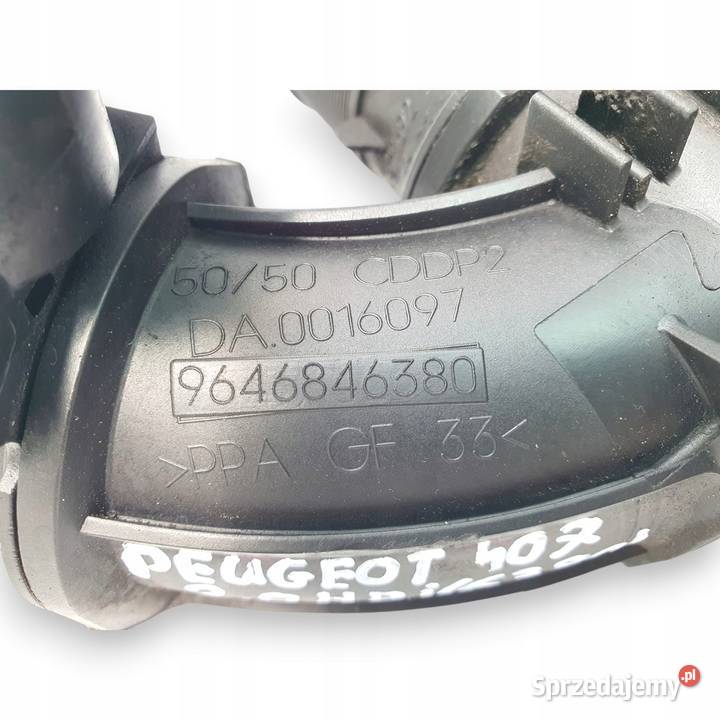 PRZEPUSTNICA Citroen C5 Peugeot 307 407 607 20 Chełm