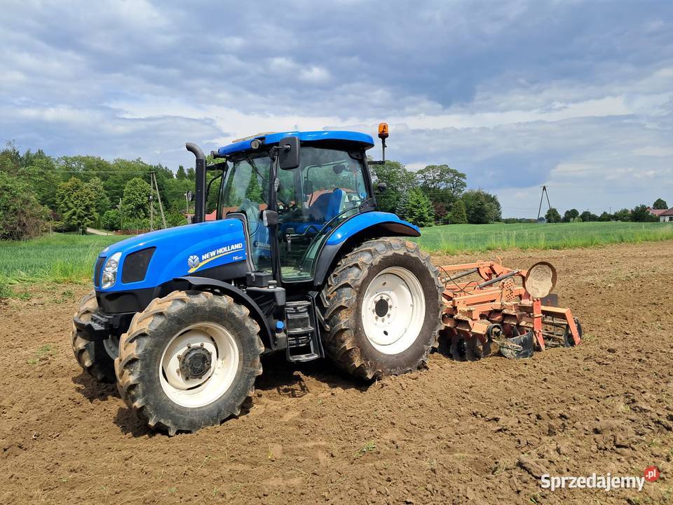 Holand nie Case Straszęcin
