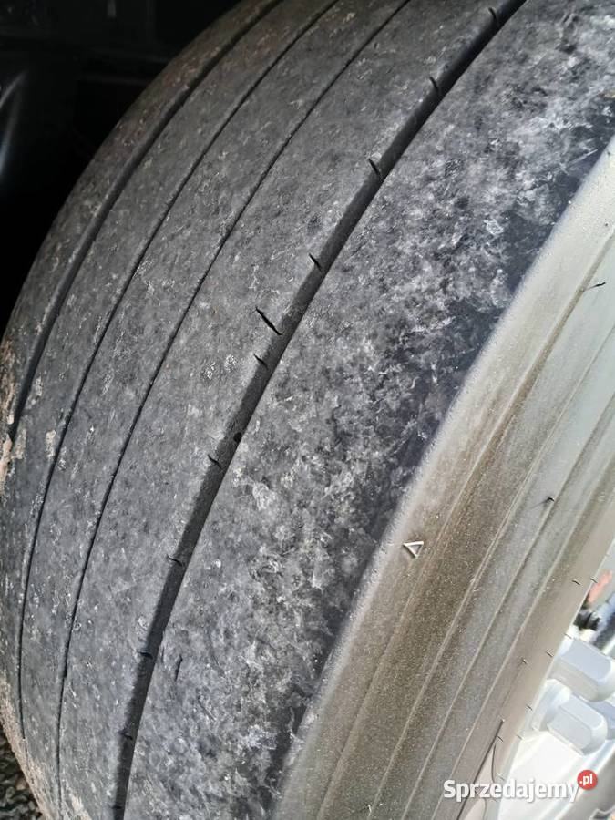 Krone Chlodnia świętokrzyskie Morawica