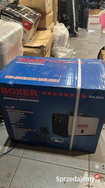 Migomat boxer Szczecin