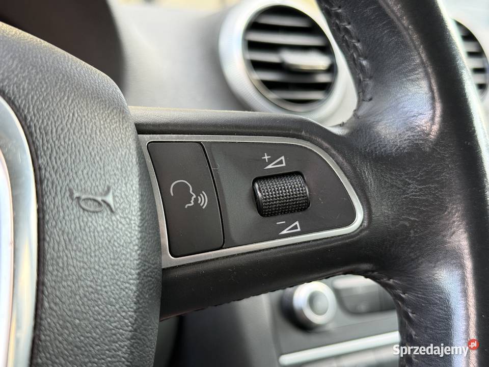 Audi A3 8P 2010 16 TDI 262 000 manualna Pilzno