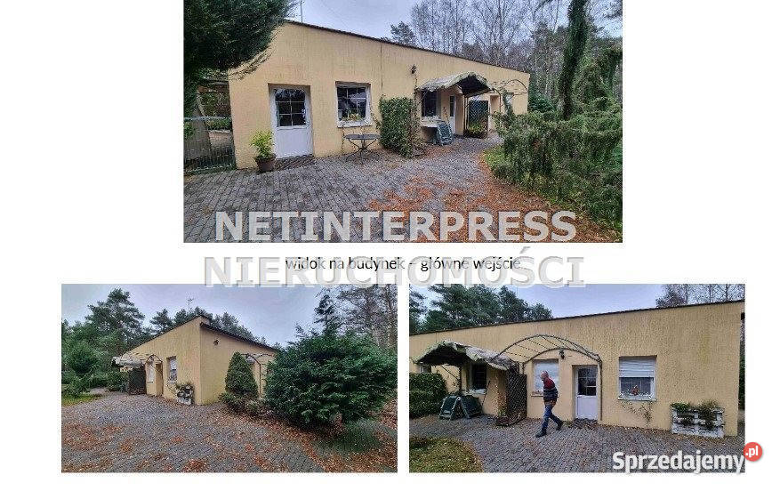Lokal sprzedam Łeba 14801m2 sprzedam