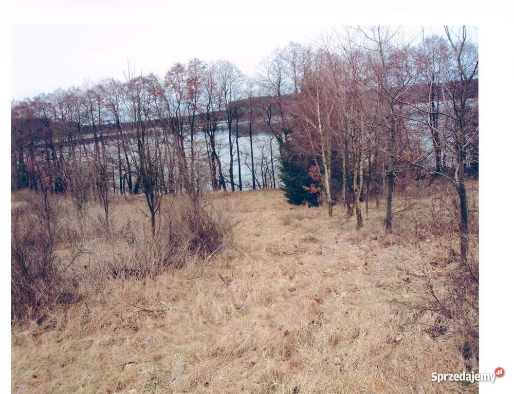 dzialka jezSiecino Siecino