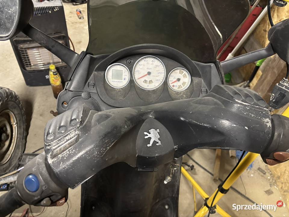 Peugeot Elystar 125 Peugeot Dzikowiec