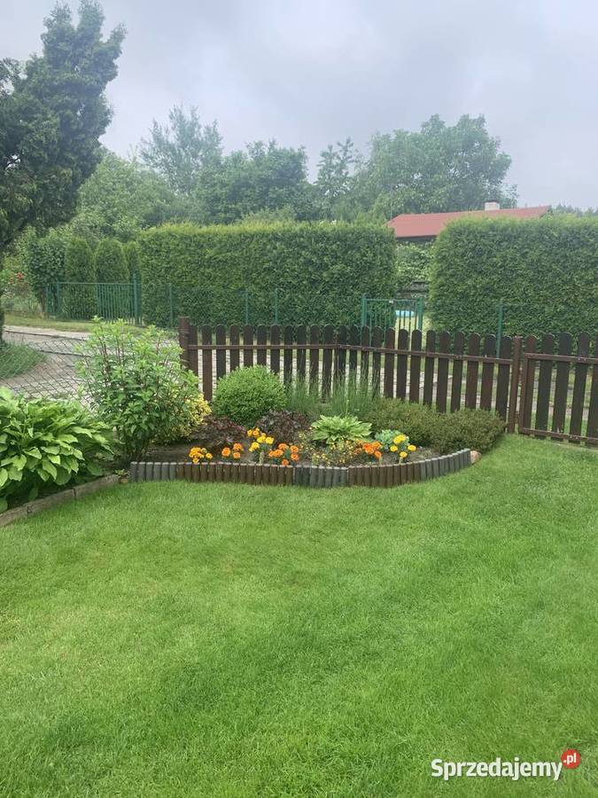 Sprzedam działkę rekreacyjną ROD Nowosolna woda Grunty i działki