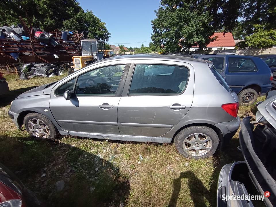 Peugeot 307 16 Kombi 80 kW 2003 r dawca części Szklarka Myślniewska