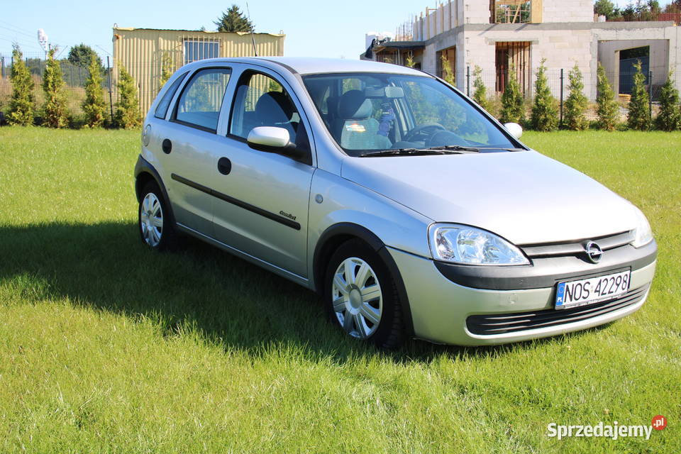 Opel Corsa C 12 Comfort 2001 302615 Sprawna RATY benzyna Iława