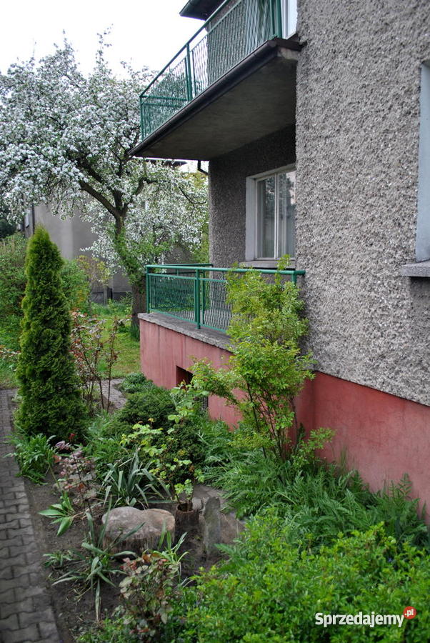 dom Rybnik Meksyk Lelewela 120m2 Rybnik