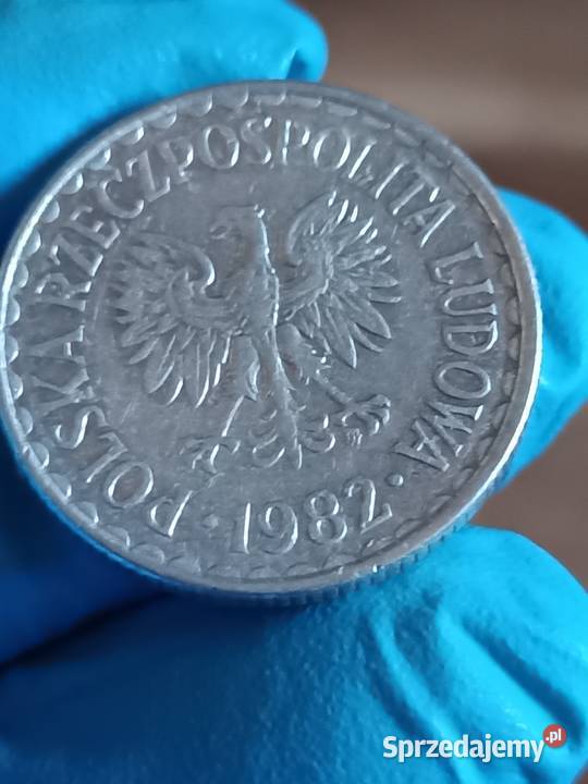 Sprzedam 1 zl 1982 r Cienka data Numizmatyka lubelskie Chełm