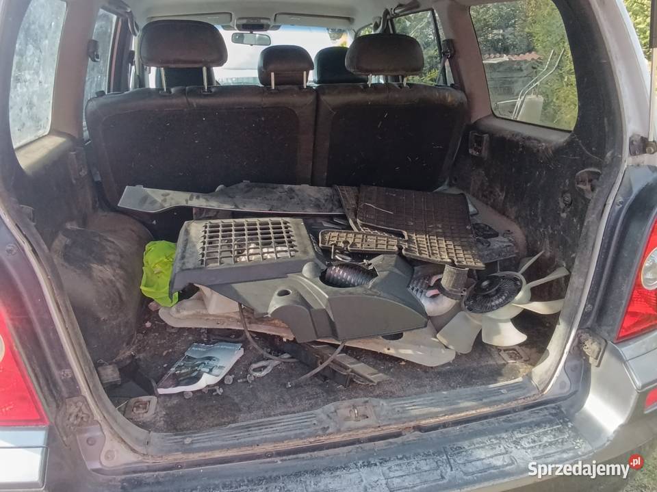 Hyundai terracan 29 2004r Hyundai Borzechowo