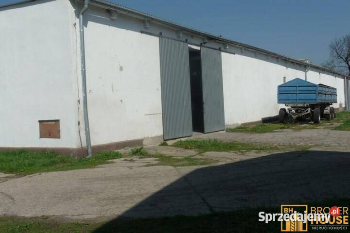 Sprzedam lokal 189897m2 Bielice opolskie