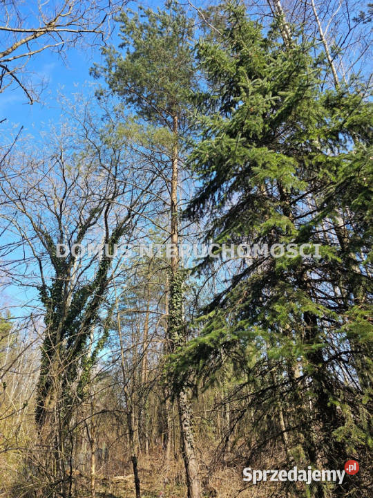 Grunt do sprzedania Kopanka 2228m2 Nieruchomości łódzkie