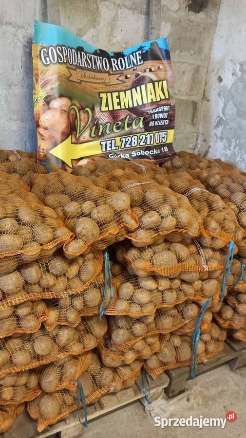 Ziemniaki VINETA Producenta Prosto z pola Strzelin