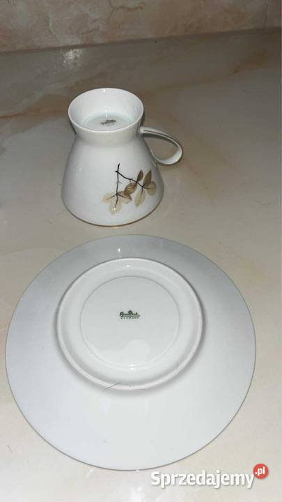 Filiżanka Seria Schattenrose Rosenthal Model Gdańsk