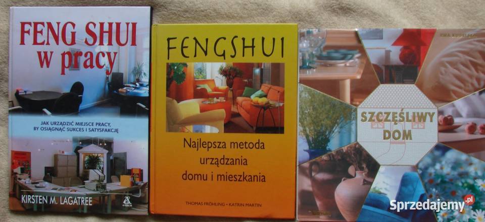Feng Shui książki filozofia, historia filozofii Książki naukowe i popularnonaukowe