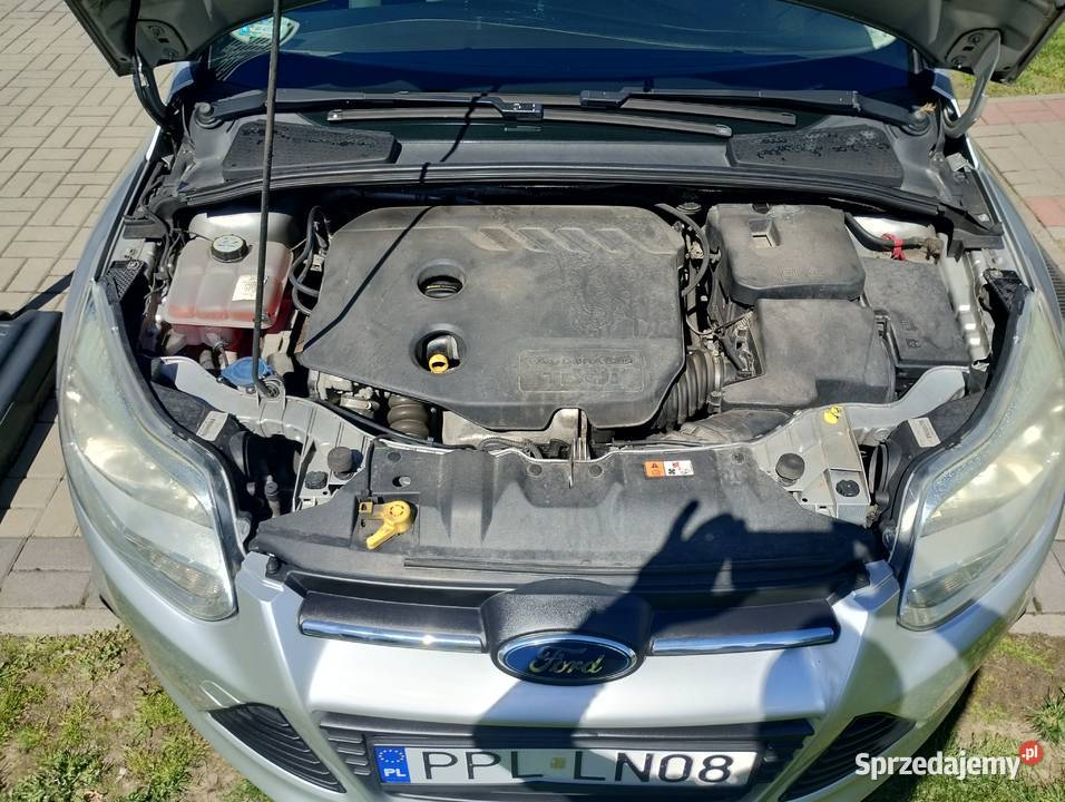 Ford Focus Fokus 16 TDCi 115 2014 r krajowy 1560cm3 Pleszew