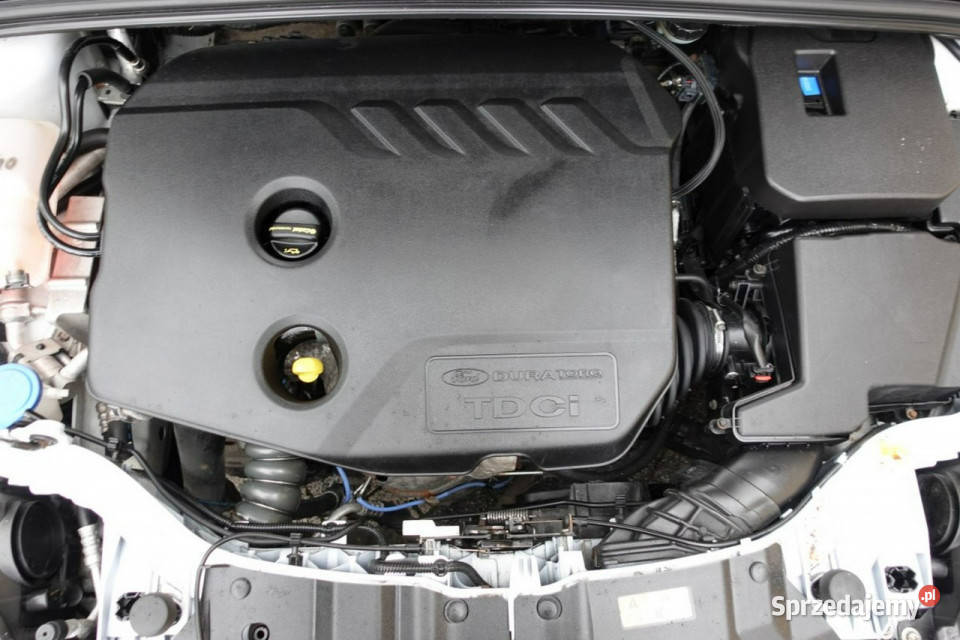 Ford Focus Klima Navi 6 Biegów Super Stan system Start-Stop Focus Płońsk