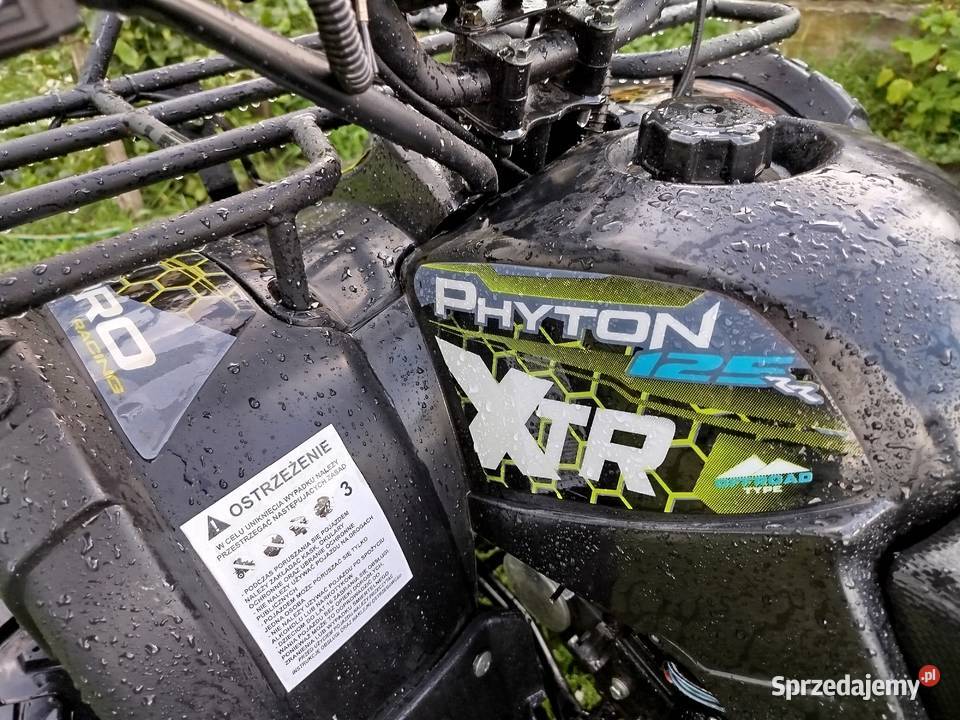 Quad xtr pyton pro 125cc 3 1 wsteczny KXD Skłody Borowe