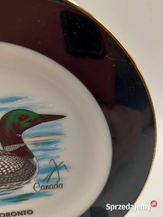 Talerz z Canady Toronto ptak kaczka lubelskie Zamość