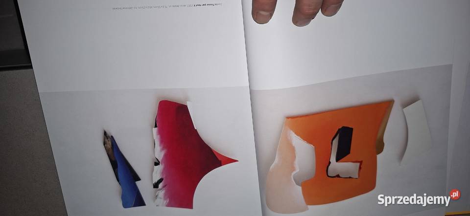 Visual Interview 01 Dictionary of Artists Poznań