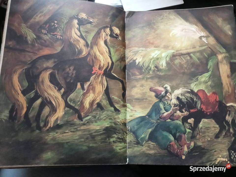 Konik GARBUSEK PIOTR JERSZOW JAN MARCIN SZANCER Grójec sprzedam