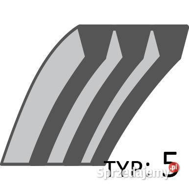 Pasek Weibang WBGT6813 CZĘŚĆ ORYGINALNA 28x1669 Opalenica