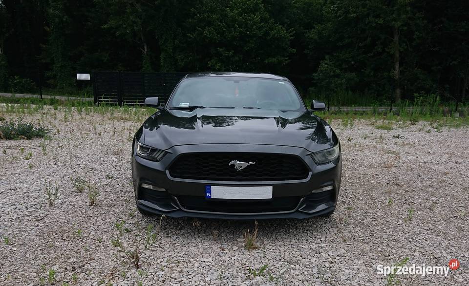 Ford Mustang VI Coupe automatyczna Mustang Busko-Zdrój