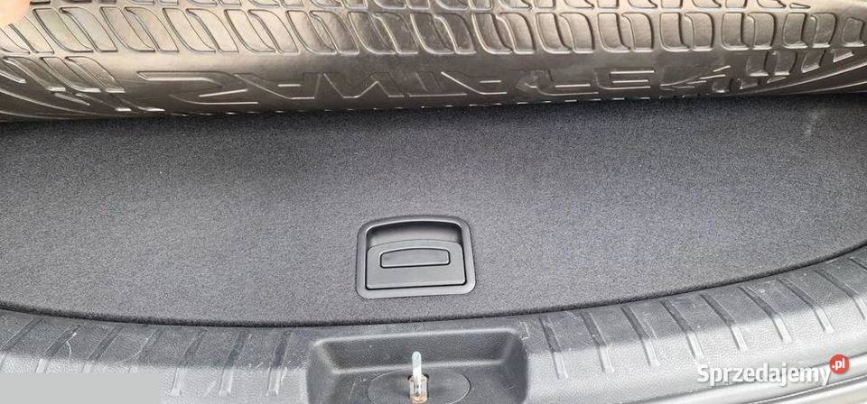 Hyundai Santa Fe 22 CRDi 4WD Automatik Premium Mińsk Mazowiecki