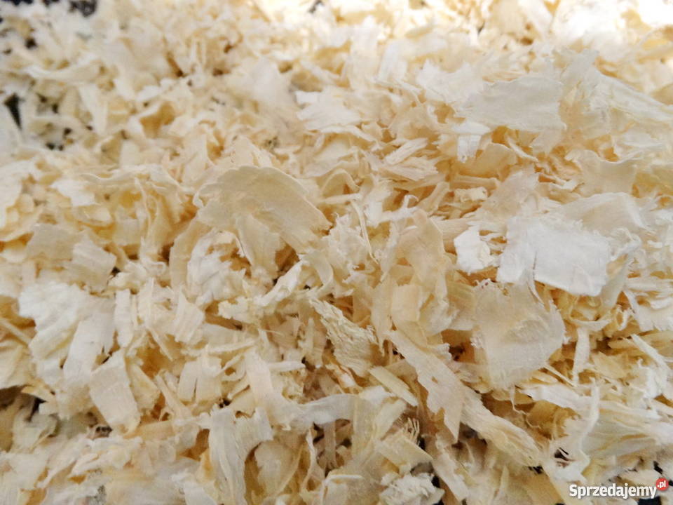 Trocinyściółka koni i innych zwierząt 3krotnie Kamienica Polska