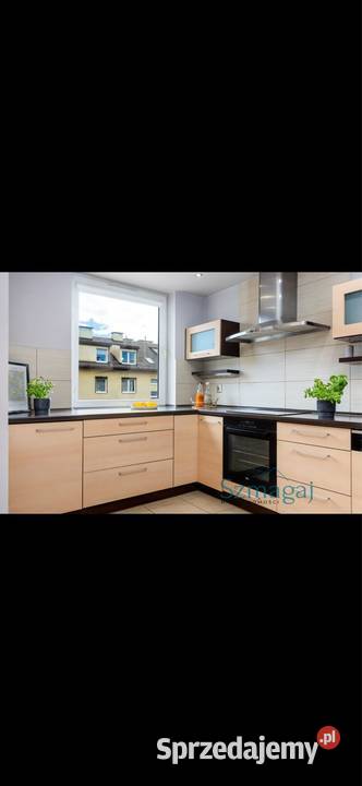 Mieszkanie 2 pokojowe 4782m na Psim Polu 2 piętra dolnośląskie