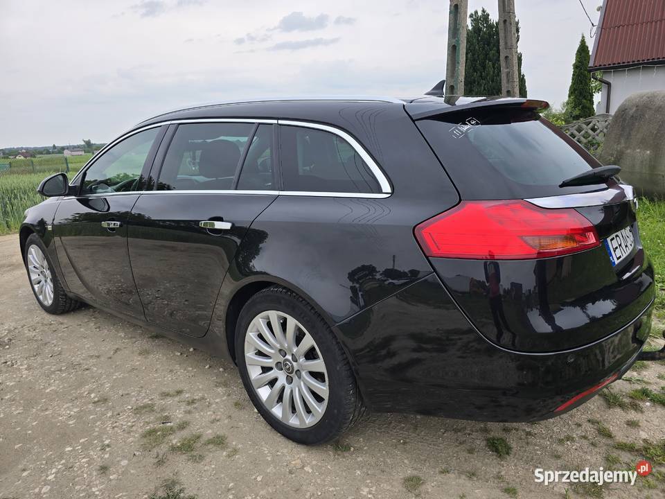 Opel insignia 20 cdti Niedośpielin sprzedam