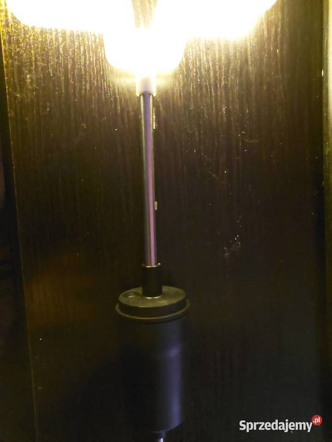 Choinka Led ogrodowa Nowa Wrocław