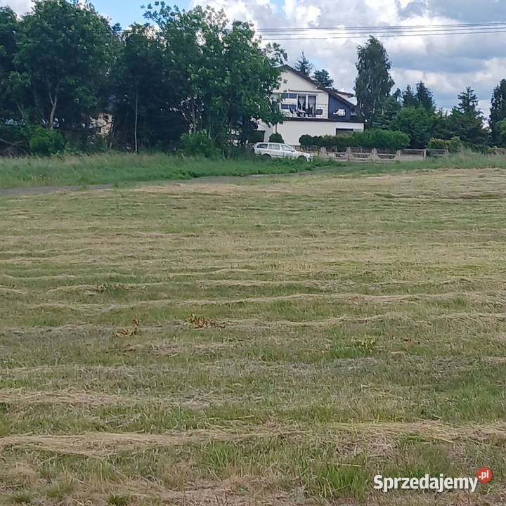 Działka z WZ 1000 m Częstochowa Stradom natura