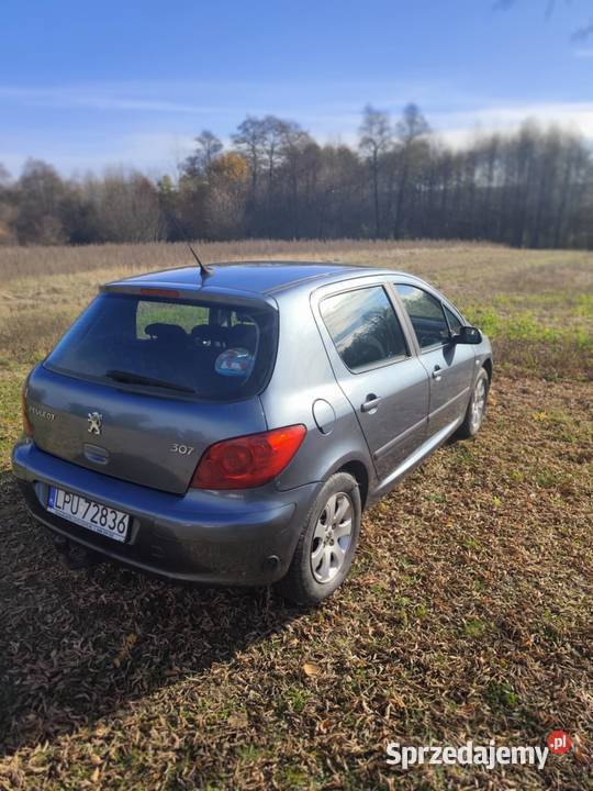Peugeot 307 lubelskie Poniatowa