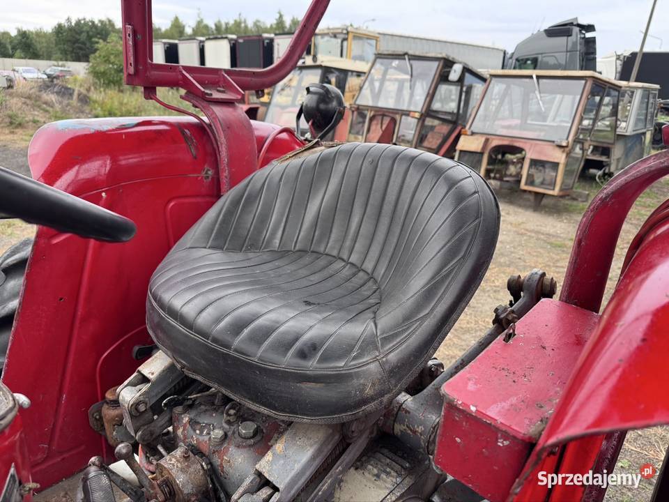 Traktor ciągnik rolniczy Zetor 2011 Majorek 2 Gniezno