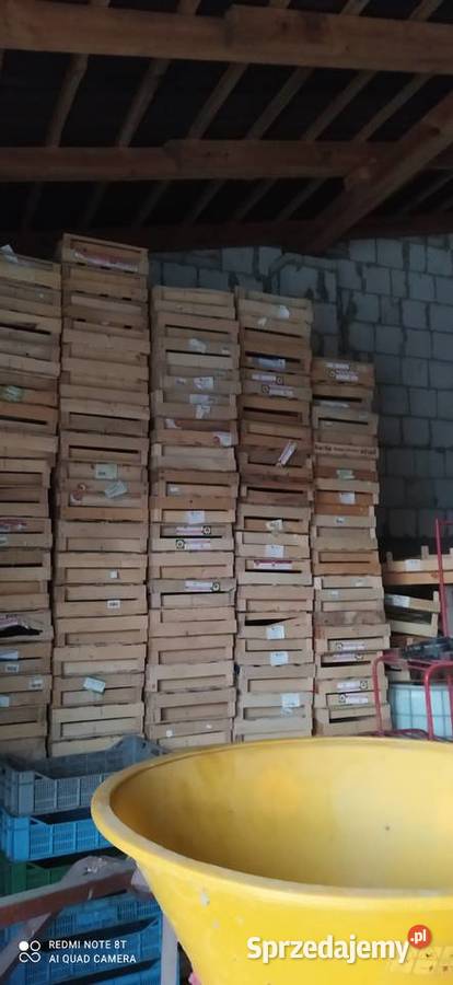 Skrzynki owoce miękkie malina Terpentyna sprzedam