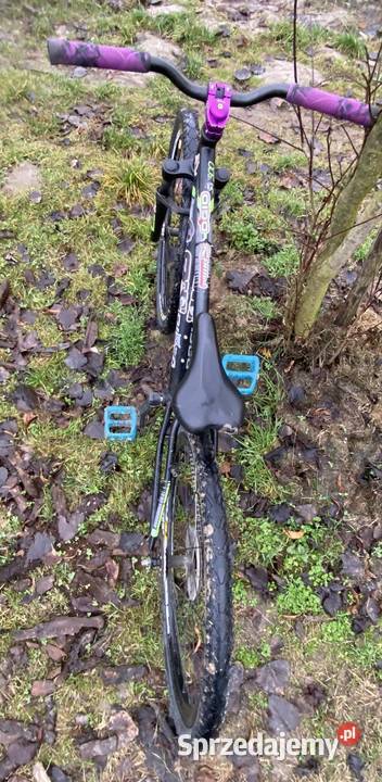 Sprzedam rower dirt Lublin