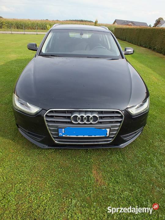 Audi A4 xenon led B8 Ładny ŚLĄSK Rok produkcji 2015 Golasowice sprzedam