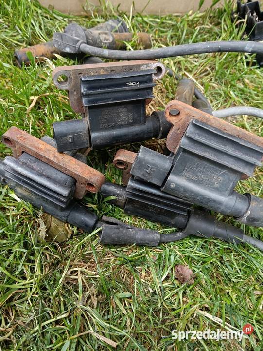 Rover 25 cewki zapłonowe 4 sztuki osobowe Żywiec sprzedam