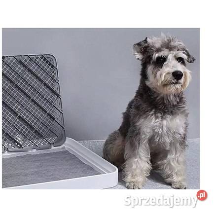 Kuweta treningowa psa PETKIT PURA Zwierzęta