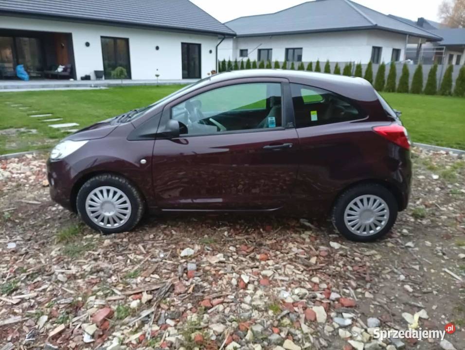 Ford KA 12 benzyna Chełm