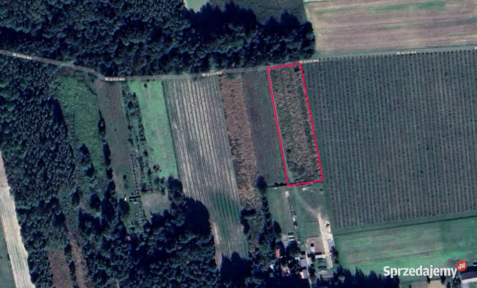 działka 51 ar z MPZP front 40m ulica Wiśniowa Sprzedaż Urzędów