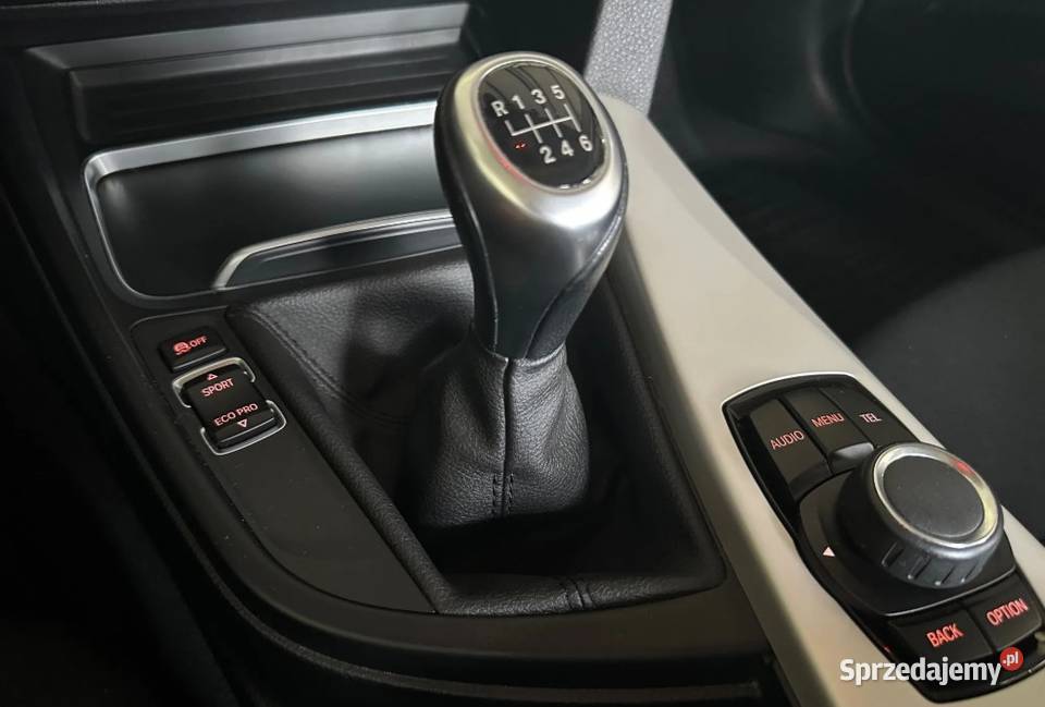 BMW Seria 3 BMW F30 318i Polski salon garażowany śląskie Katowice sprzedam